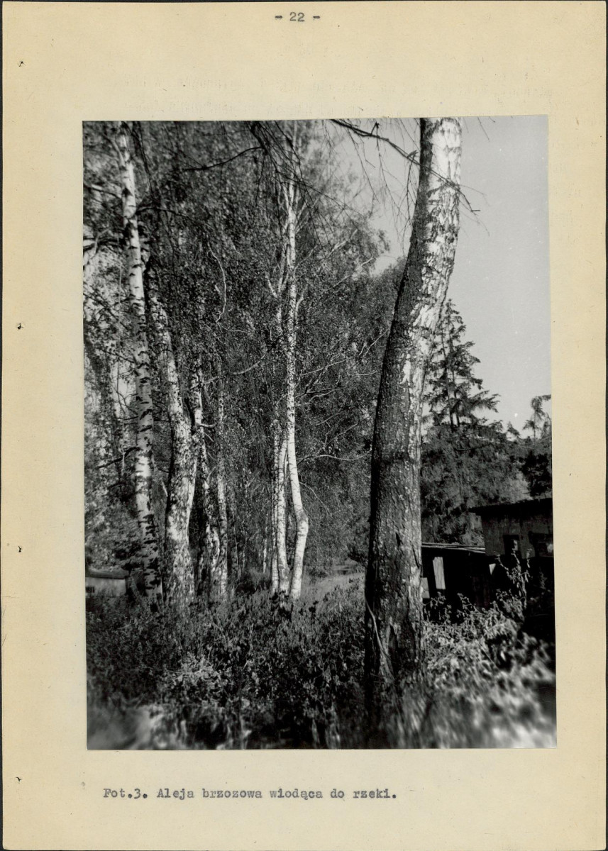 EP - Ewidencja parkowa, skan nr 33