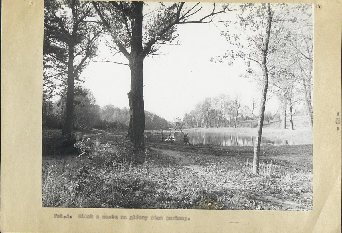 Ewidencja parkowa, skan nr 33