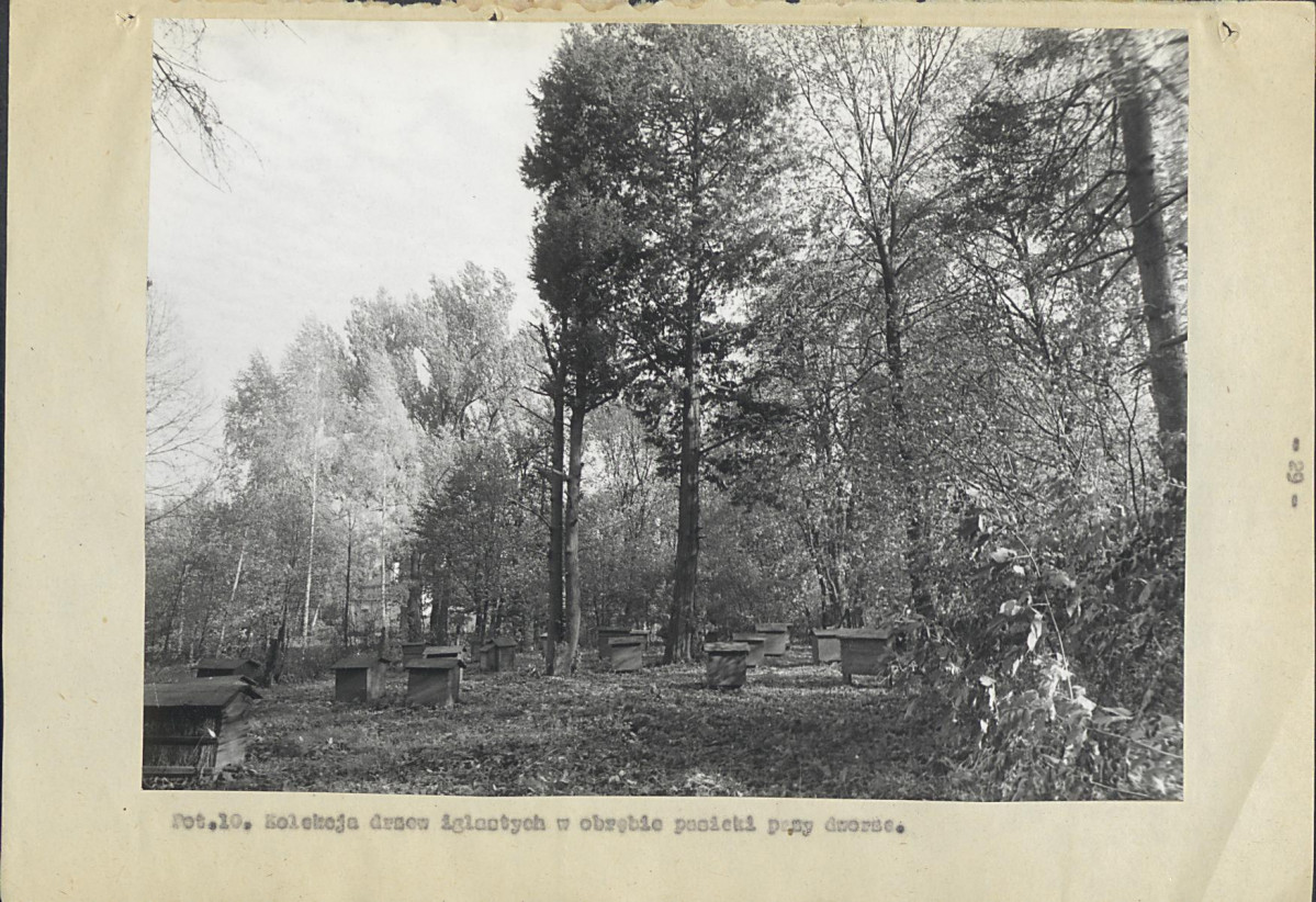 Ewidencja parkowa, skan nr 38