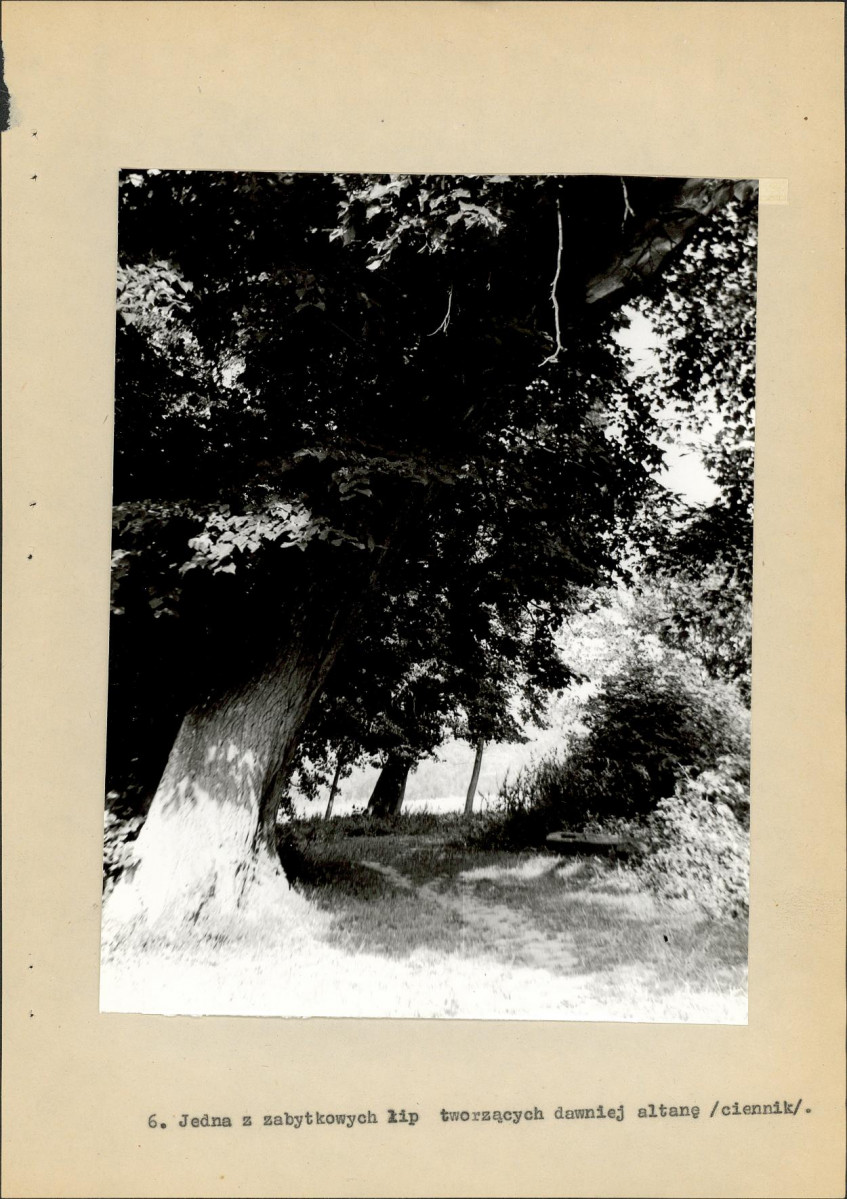 EP - Ewidencja parkowa, skan nr 33