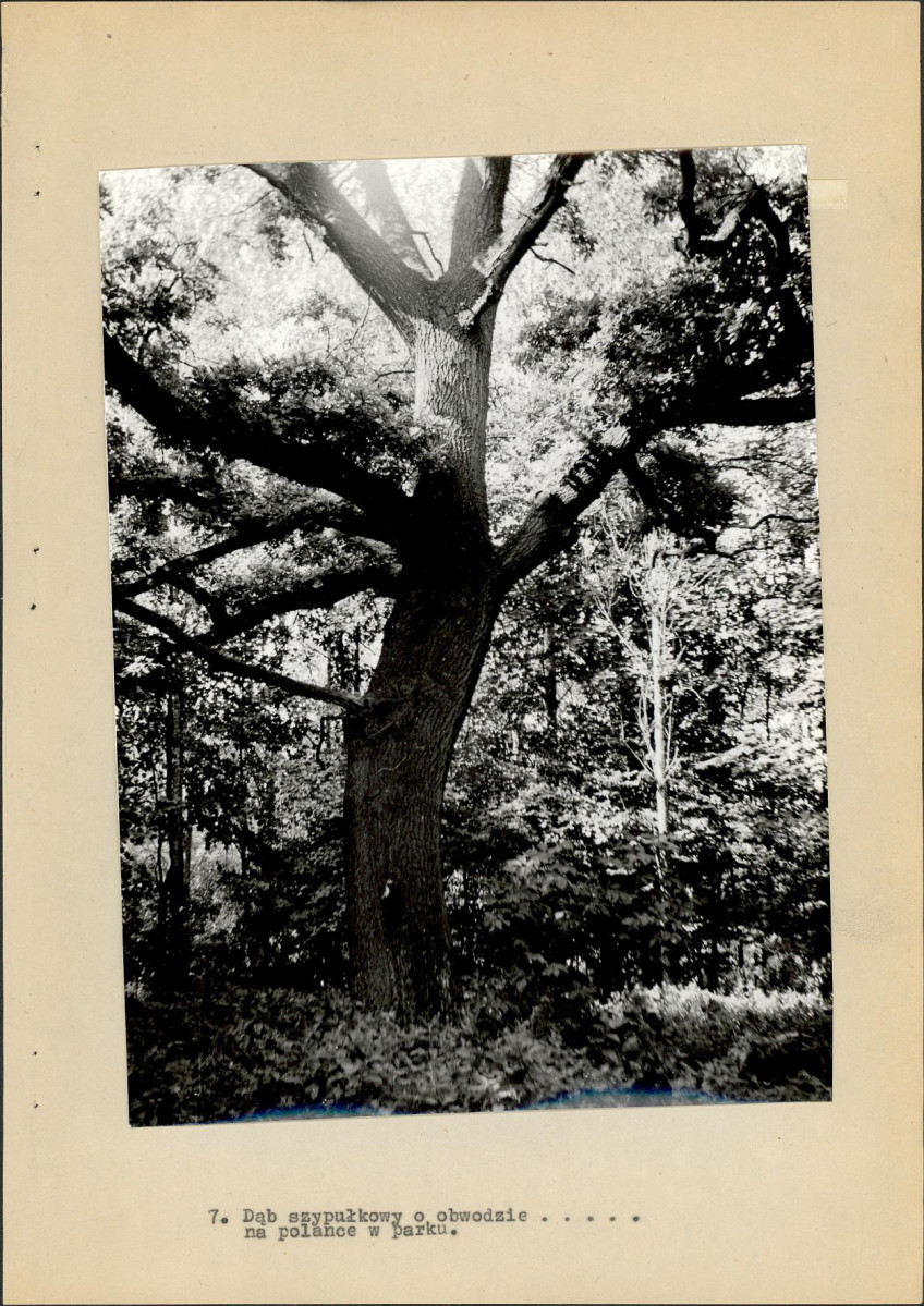 EP - Ewidencja parkowa, skan nr 34