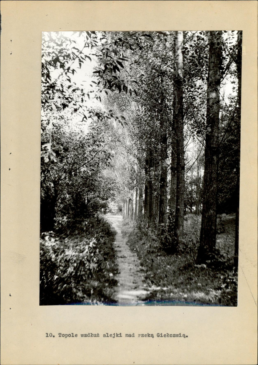 EP - Ewidencja parkowa, skan nr 37