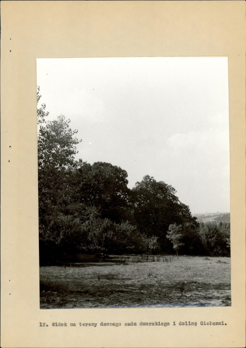 EP - Ewidencja parkowa, skan nr 39