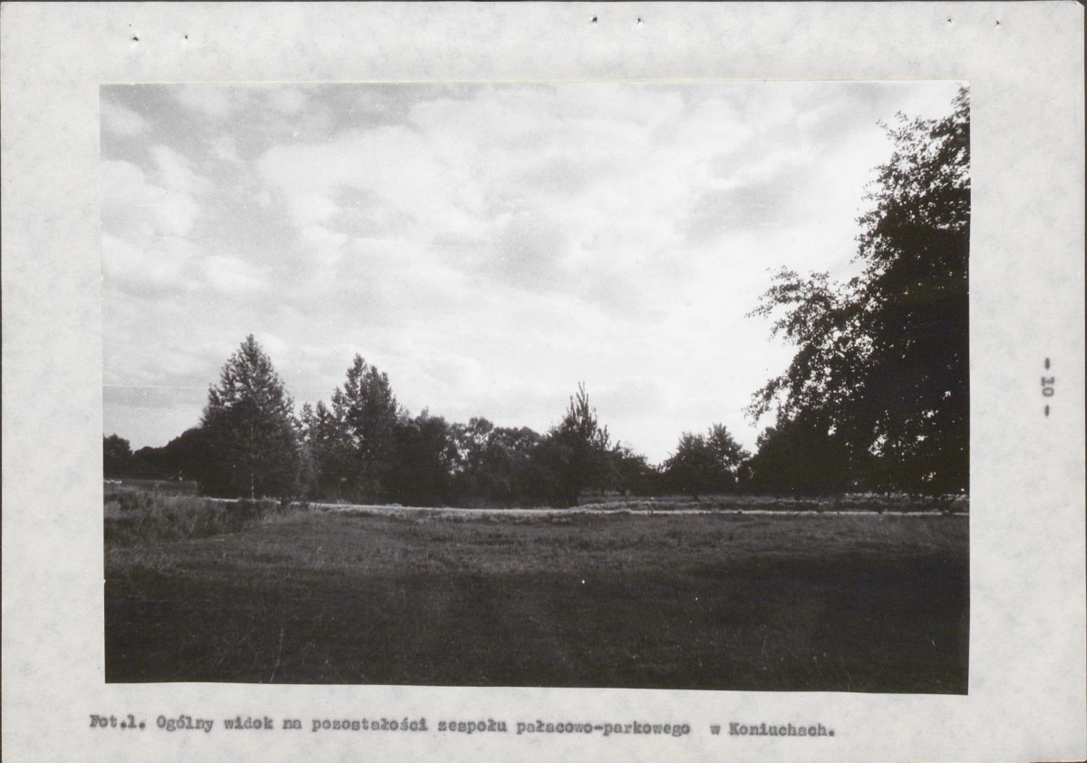 EP - Ewidencja parkowa, skan nr 17