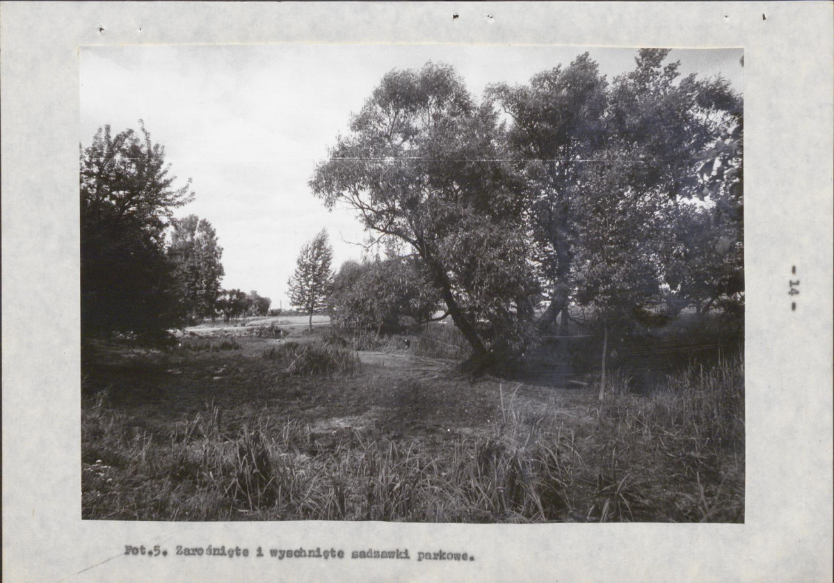 EP - Ewidencja parkowa, skan nr 21