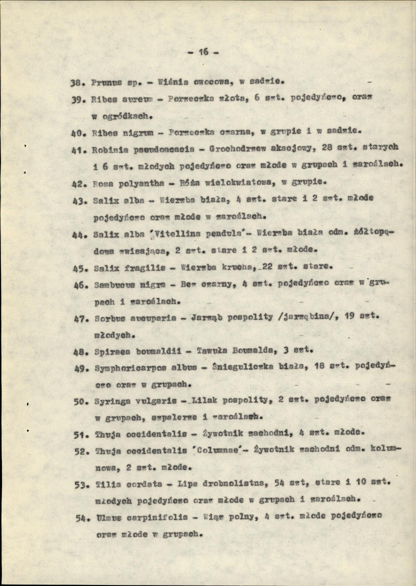 EP - Ewidencja parkowa, skan nr 25