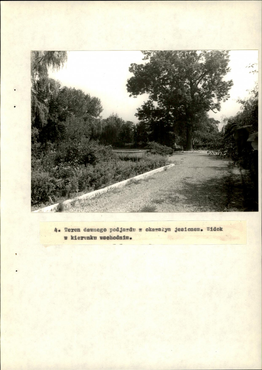 EP - Ewidencja parkowa, skan nr 38