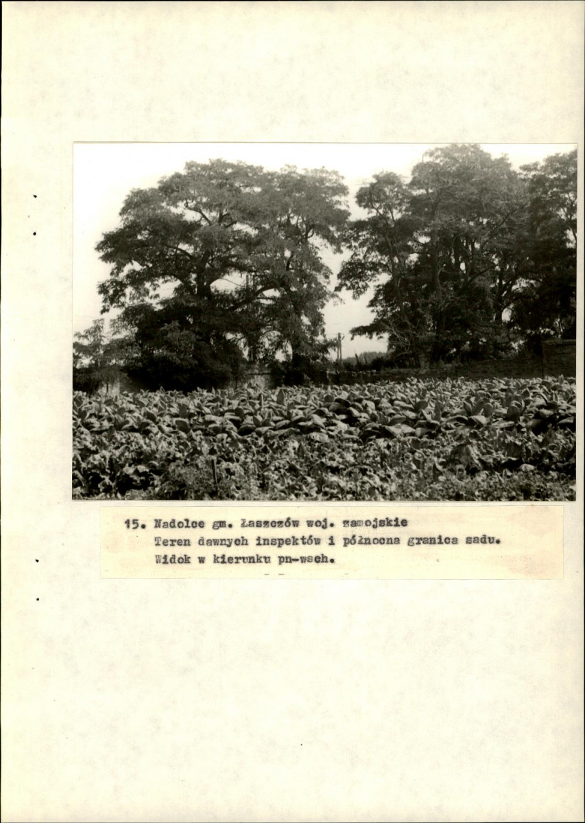 EP - Ewidencja parkowa, skan nr 49