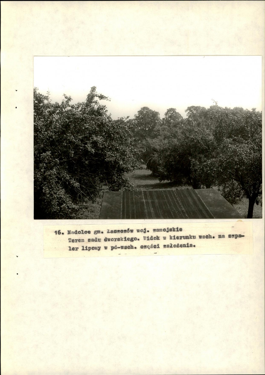 EP - Ewidencja parkowa, skan nr 50