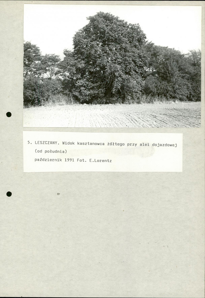 EP - Ewidencja parkowa, skan nr 33