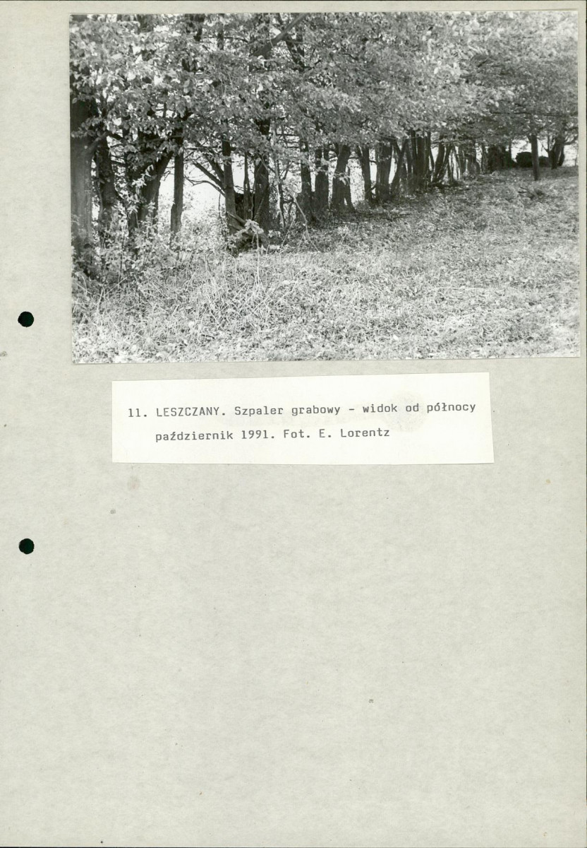 EP - Ewidencja parkowa, skan nr 39