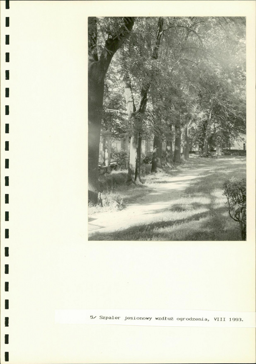 EP - Ewidencja parkowa, skan nr 28