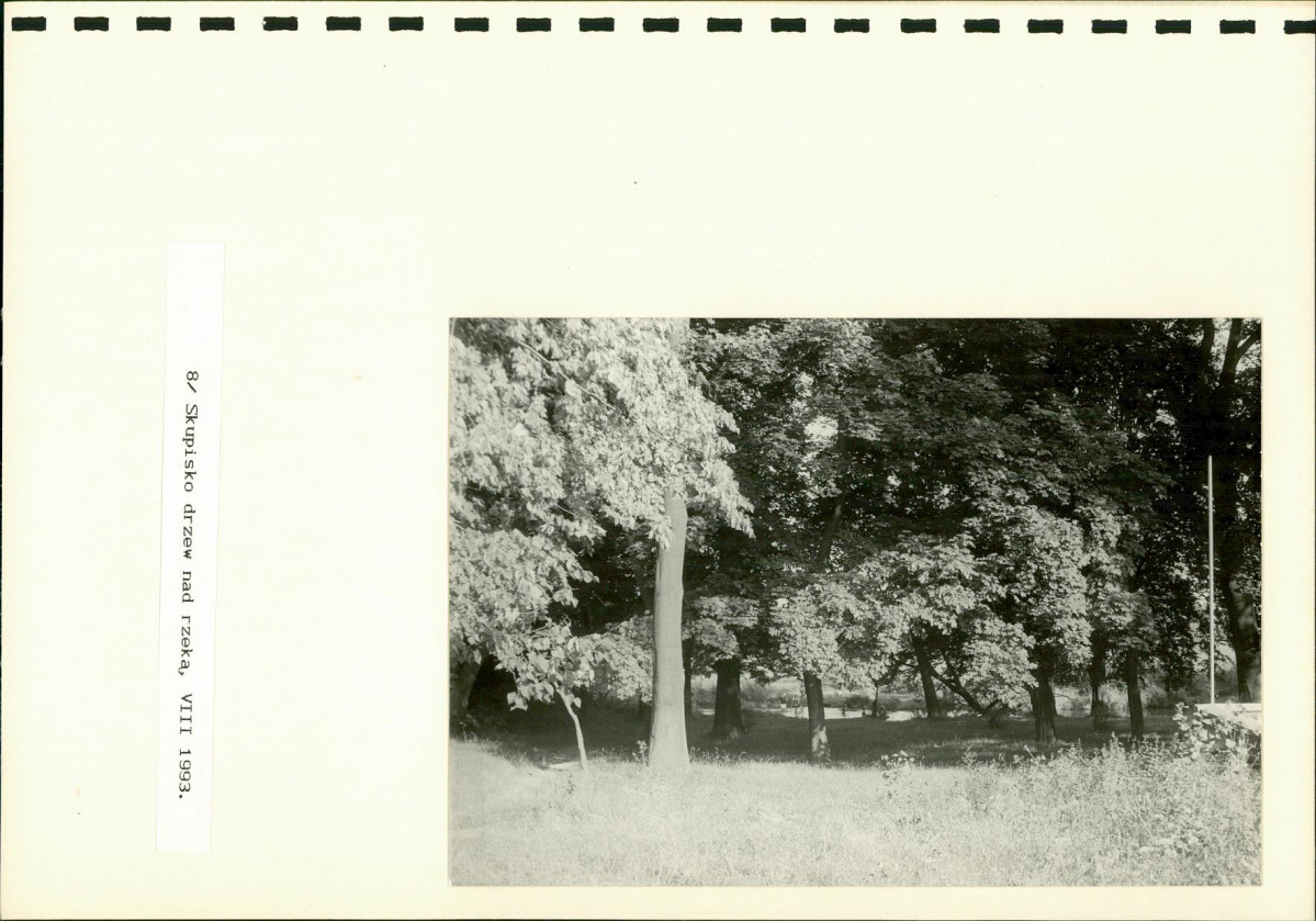 EP - Ewidencja parkowa, skan nr 31