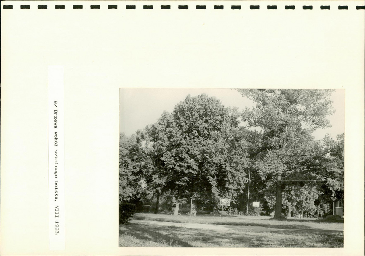 EP - Ewidencja parkowa, skan nr 32