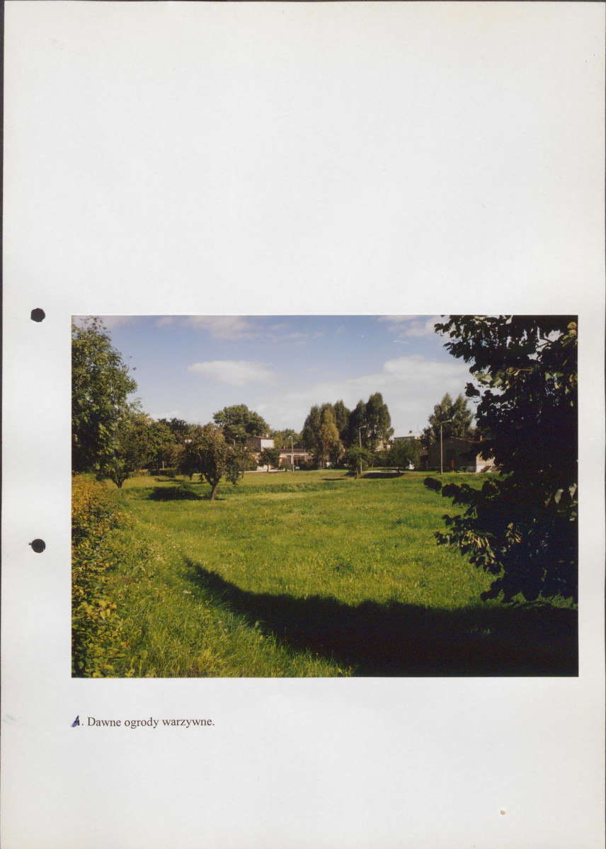 EP - Ewidencja parkowa, skan nr 45