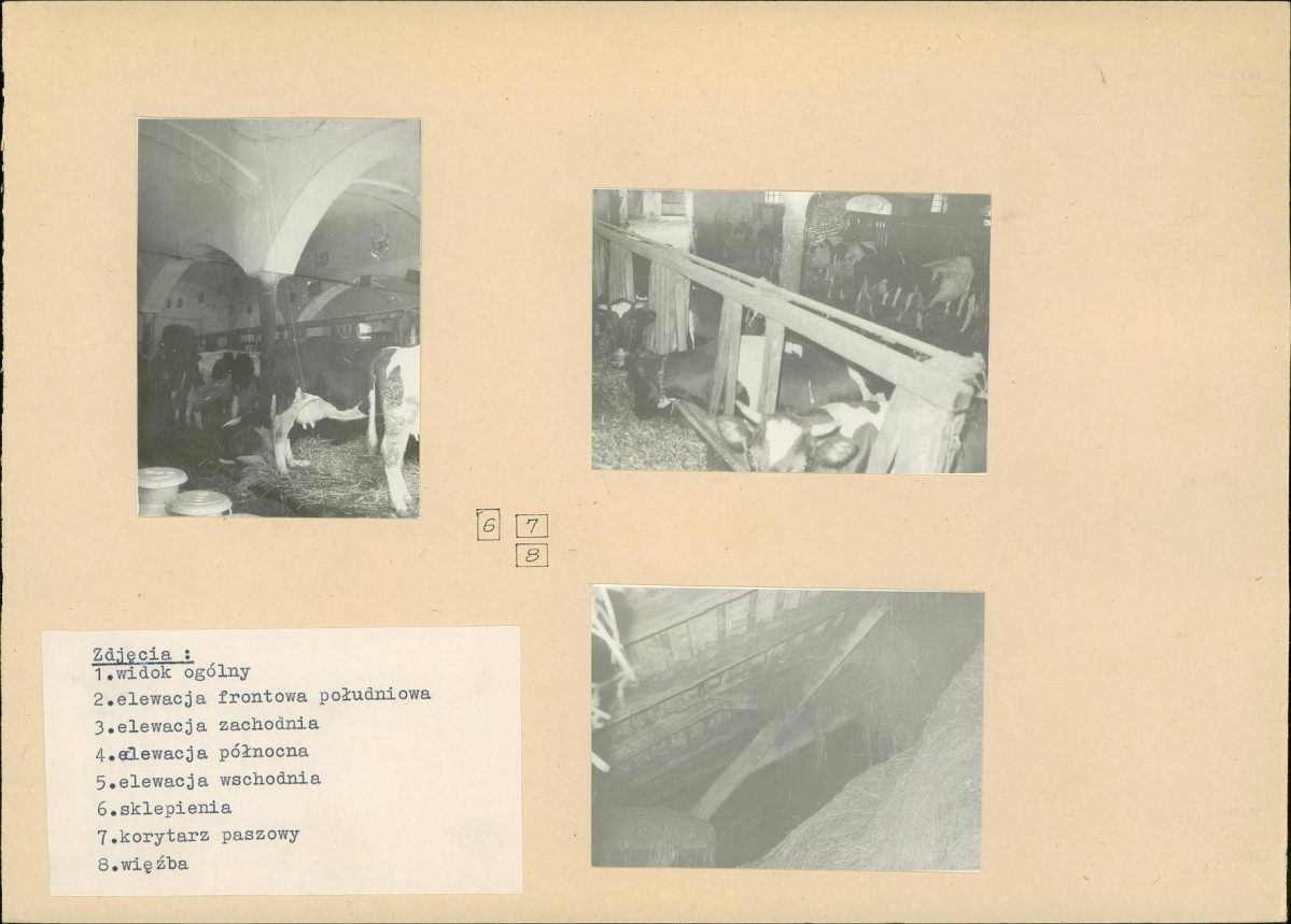 Karta biała, skan nr 8