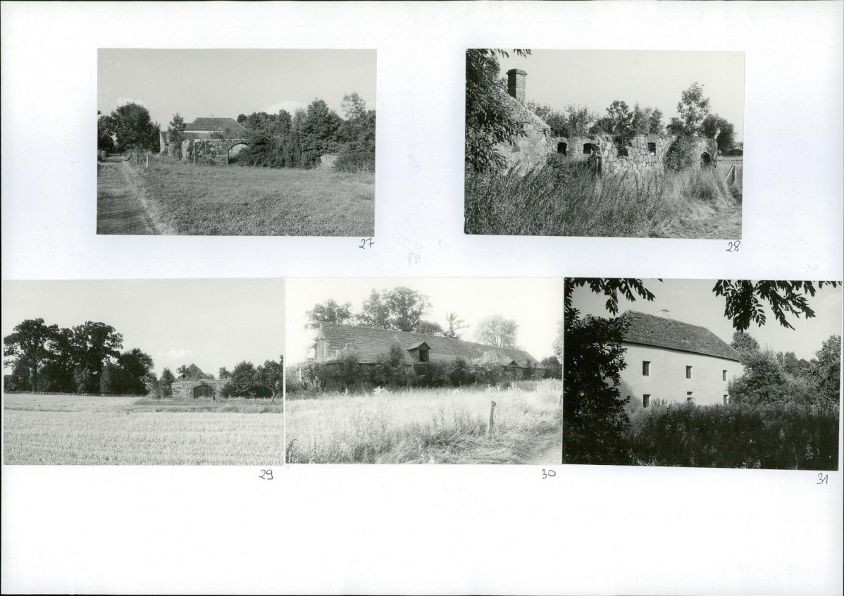 Karta biała, skan nr 24