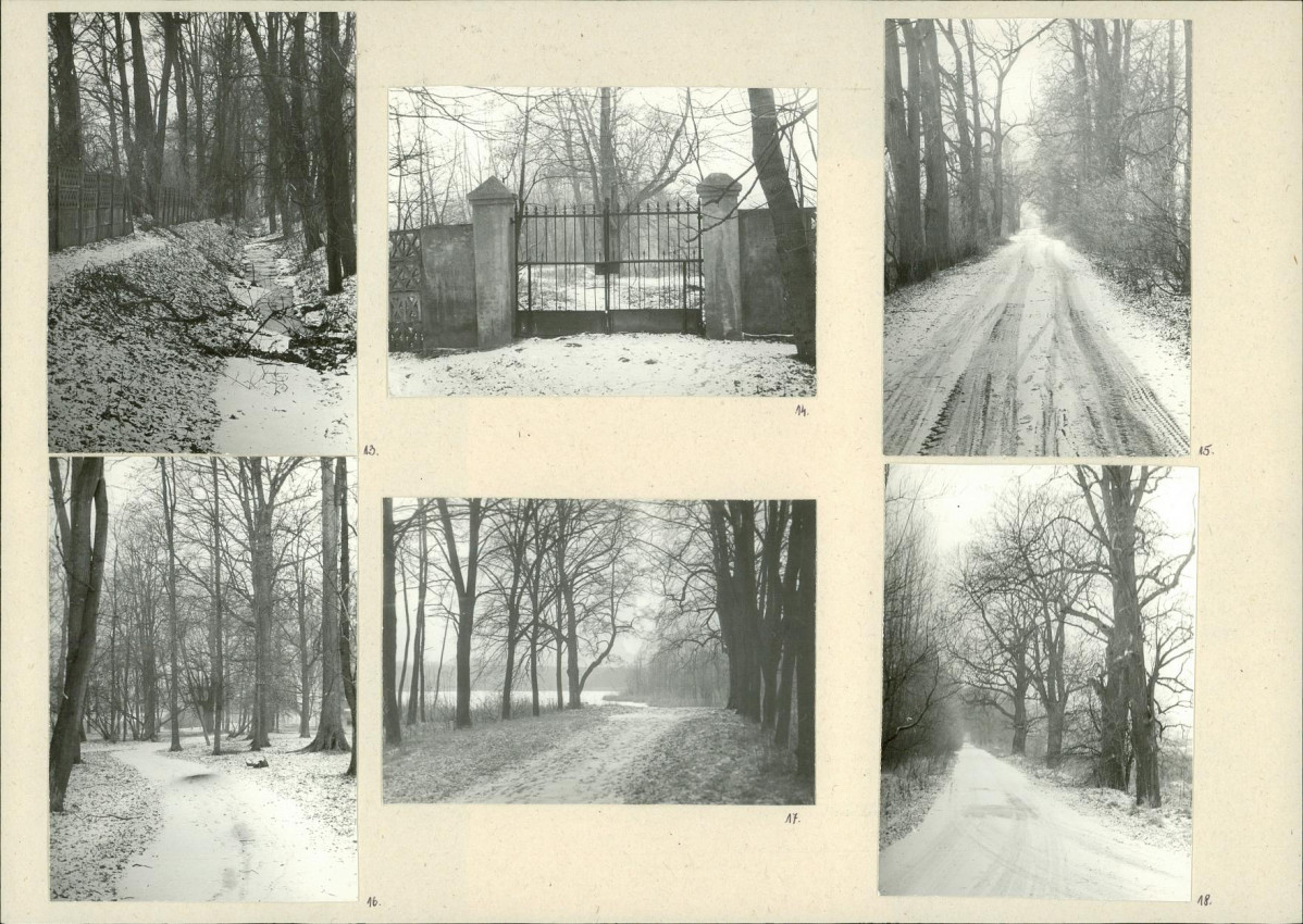 Karta biała, skan nr 10