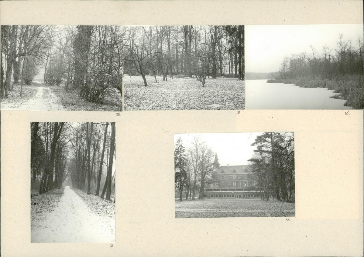 Karta biała, skan nr 16