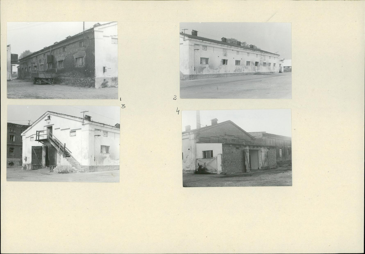 Karta biała, skan nr 16