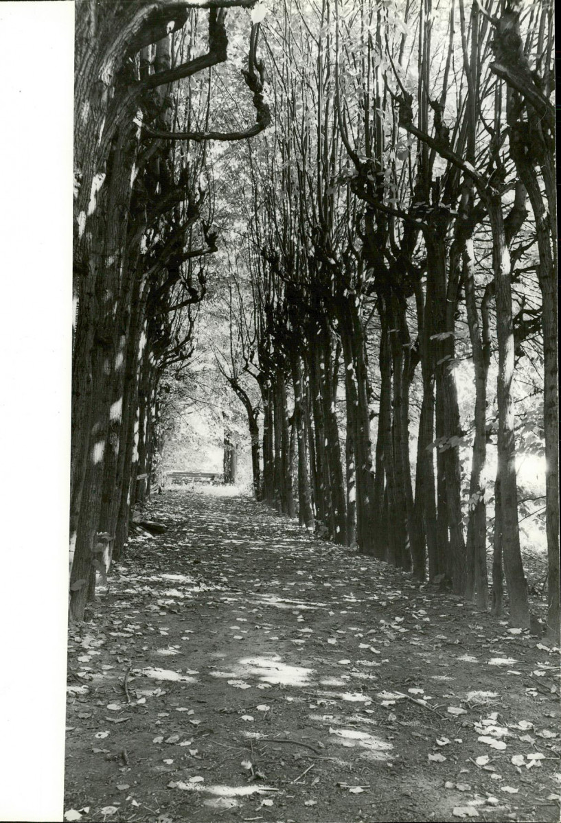 Ewidencja parkowa, skan nr 24