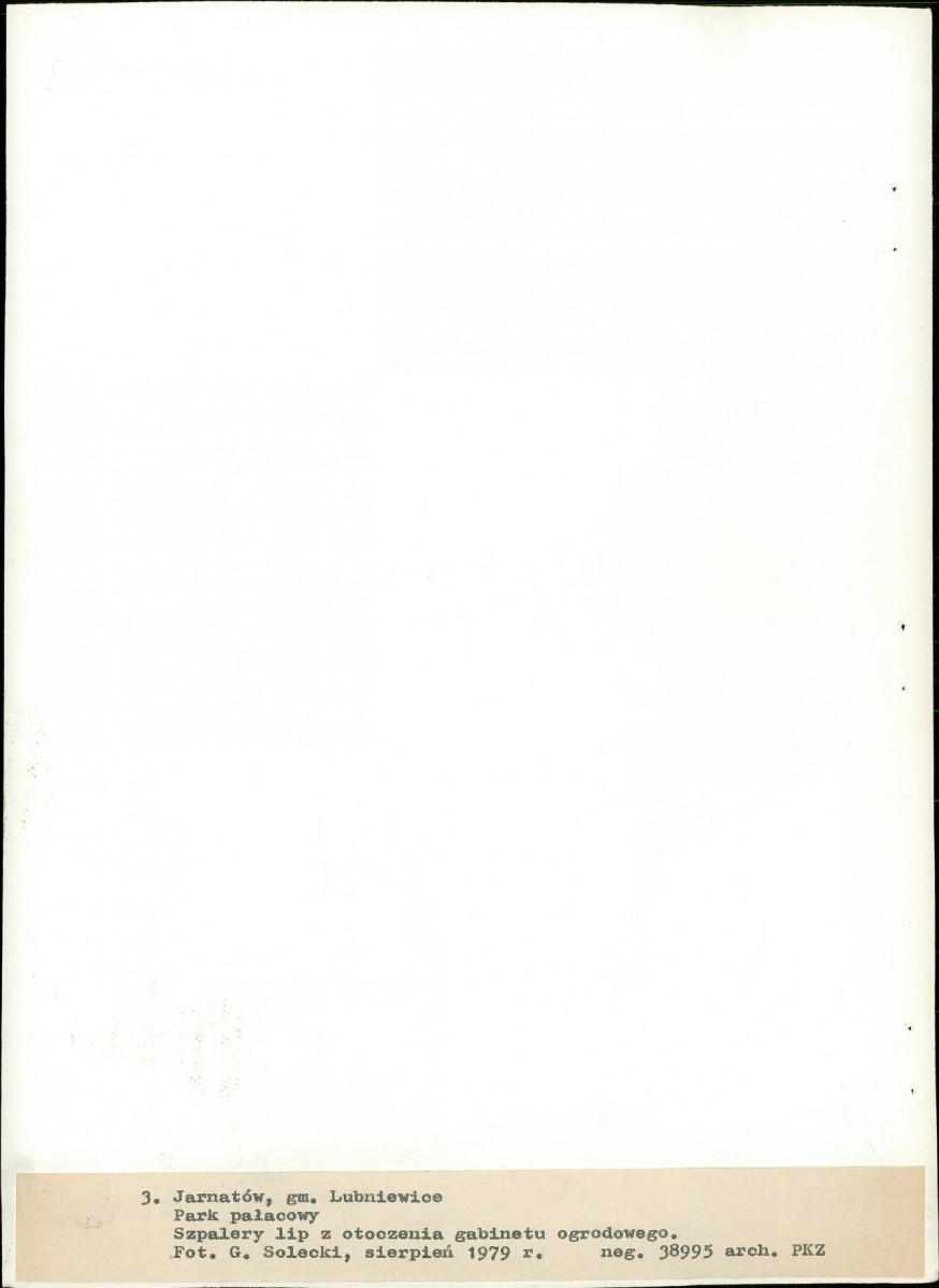 Ewidencja parkowa, skan nr 25