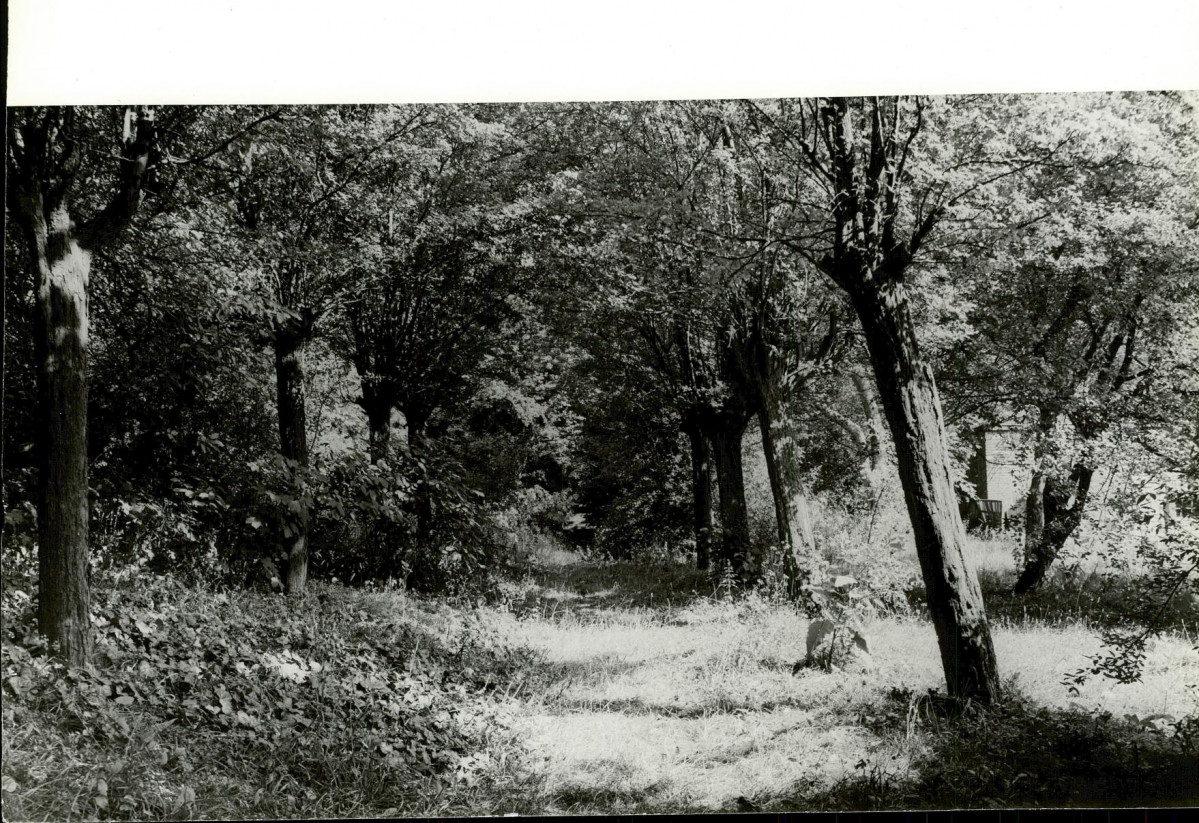 Ewidencja parkowa, skan nr 26