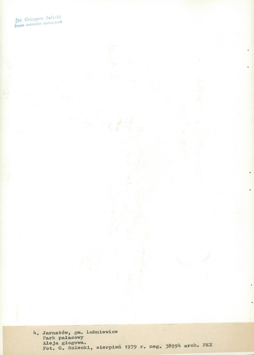 Ewidencja parkowa, skan nr 27