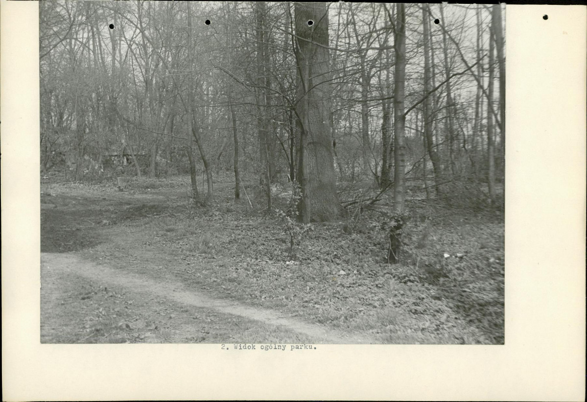 Ewidencja parkowa, skan nr 16