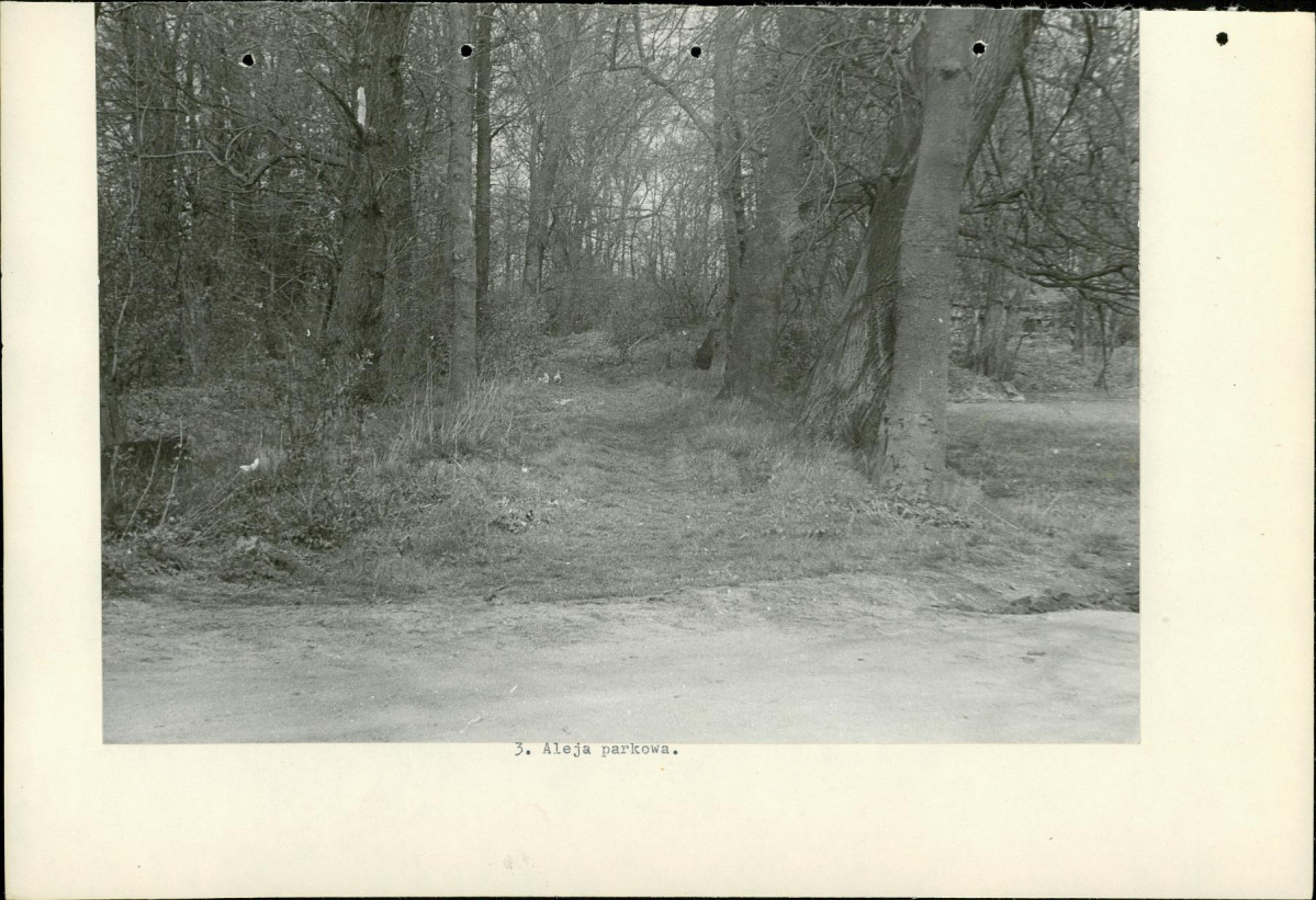 Ewidencja parkowa, skan nr 17