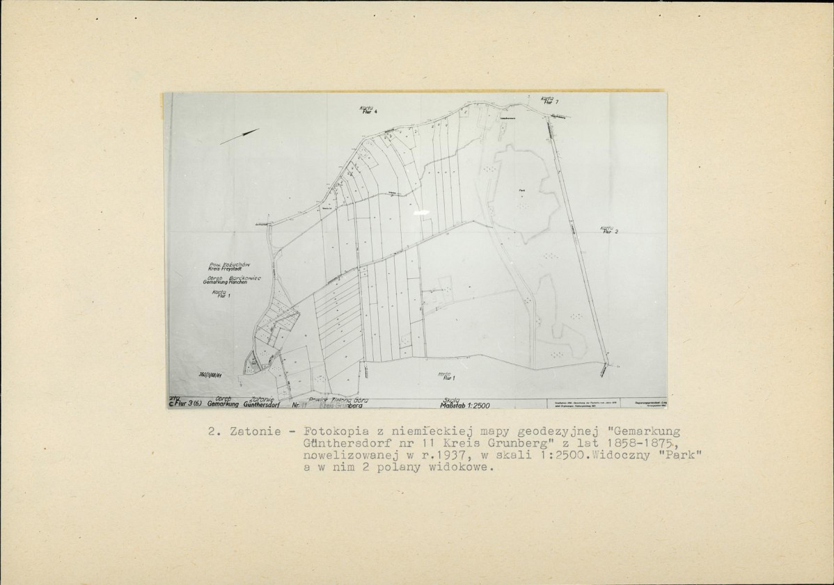 Ewidencja parkowa, skan nr 28