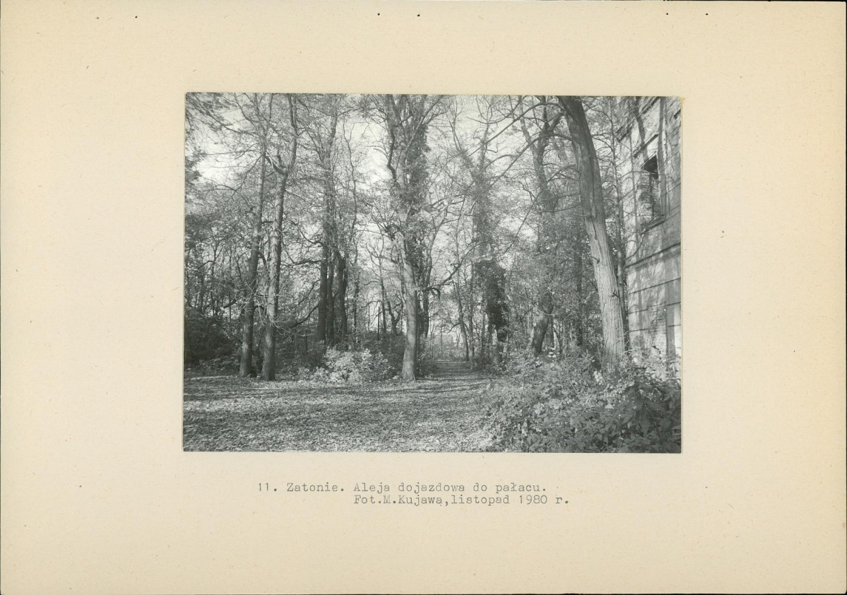 Ewidencja parkowa, skan nr 37