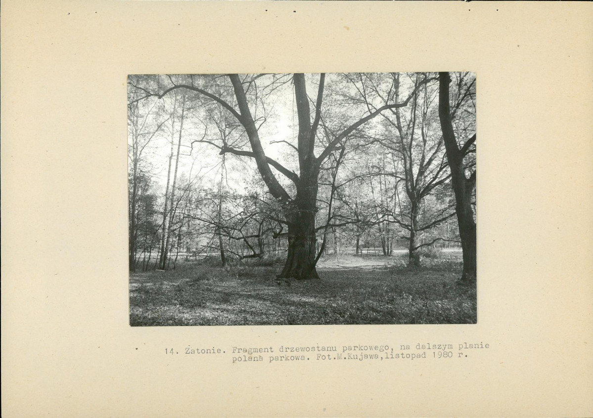 Ewidencja parkowa, skan nr 40