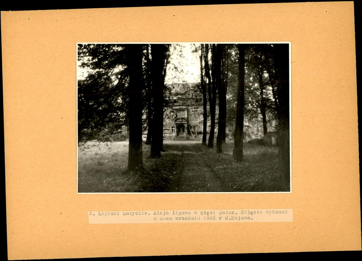 Ewidencja parkowa, skan nr 19