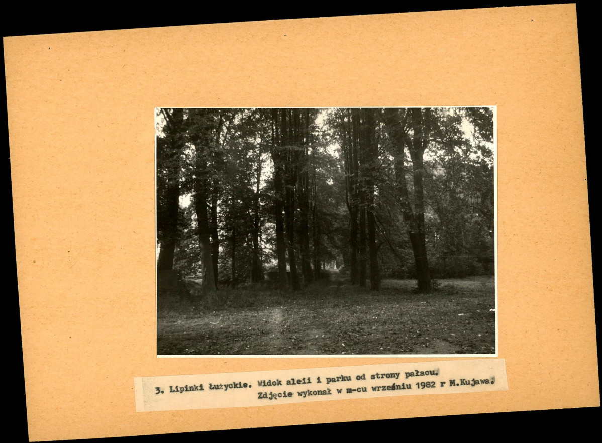 Ewidencja parkowa, skan nr 20