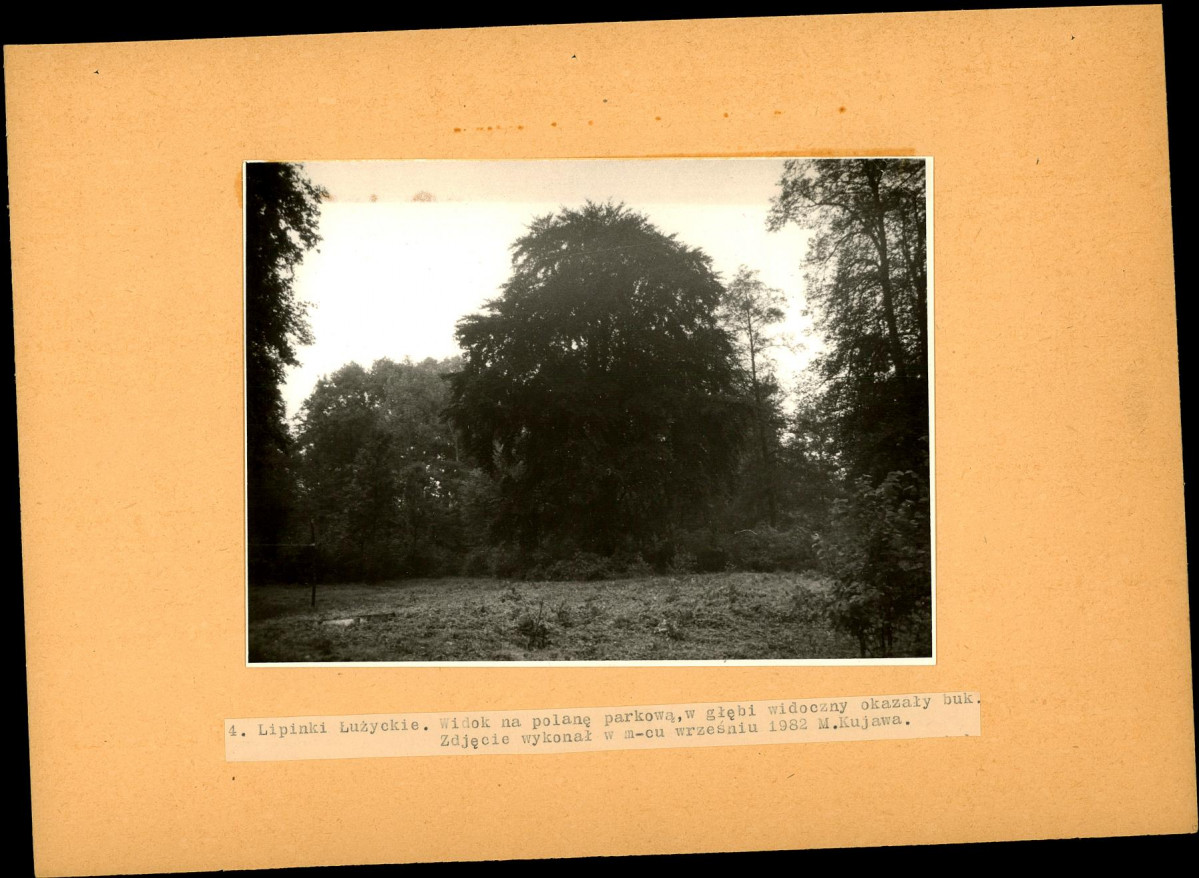 Ewidencja parkowa, skan nr 21