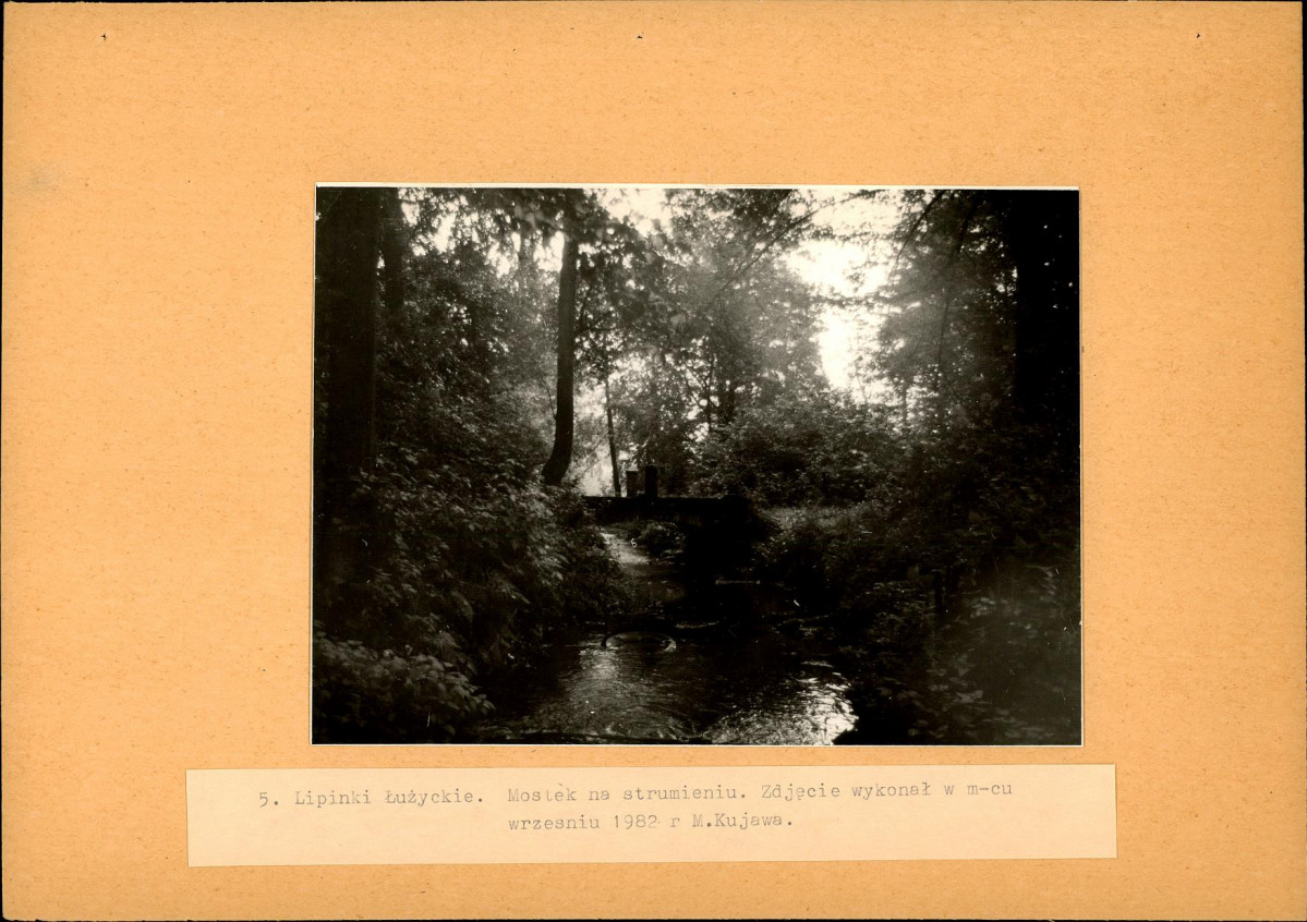 Ewidencja parkowa, skan nr 22