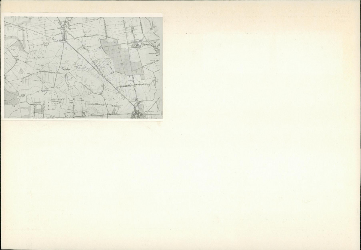 Karta biała, skan nr 6