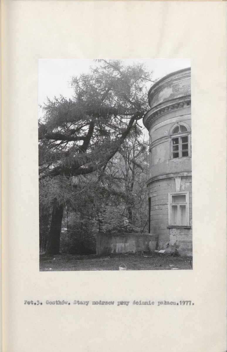 EP - Ewidencja parkowa, skan nr 13