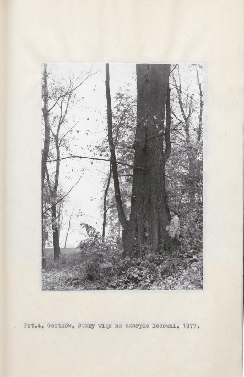 EP - Ewidencja parkowa, skan nr 14