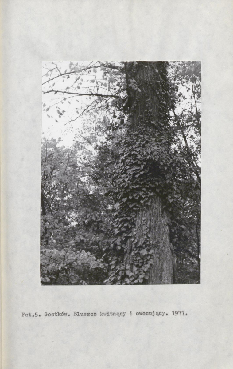 EP - Ewidencja parkowa, skan nr 15