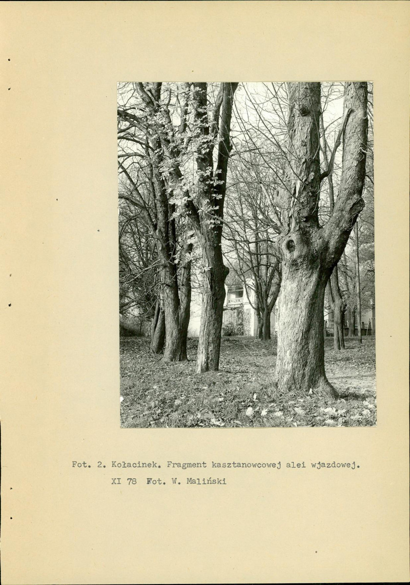 Ewidencja parkowa, skan nr 14