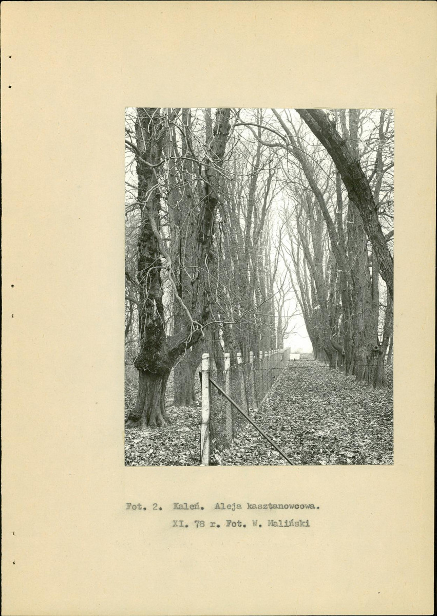 Ewidencja parkowa, skan nr 14