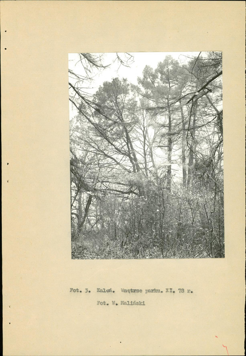 Ewidencja parkowa, skan nr 15