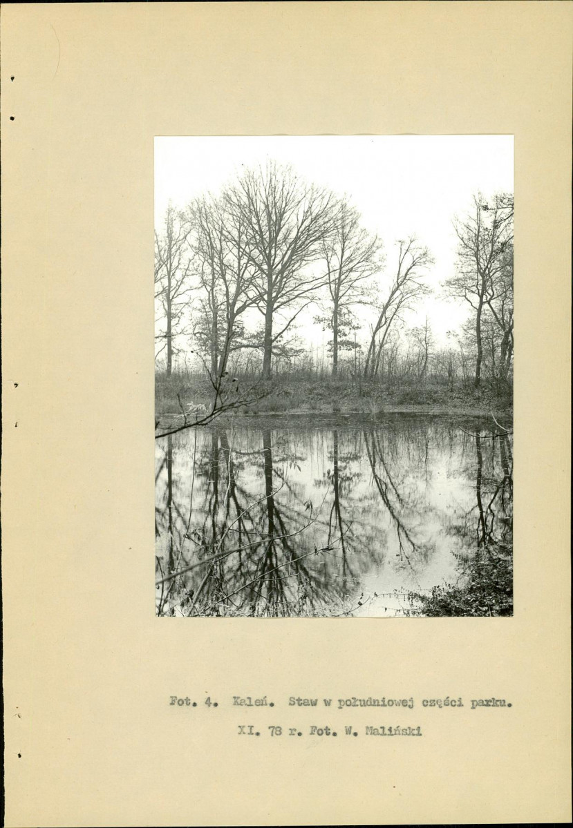 Ewidencja parkowa, skan nr 16