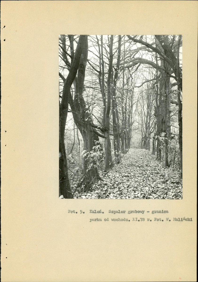 Ewidencja parkowa, skan nr 17