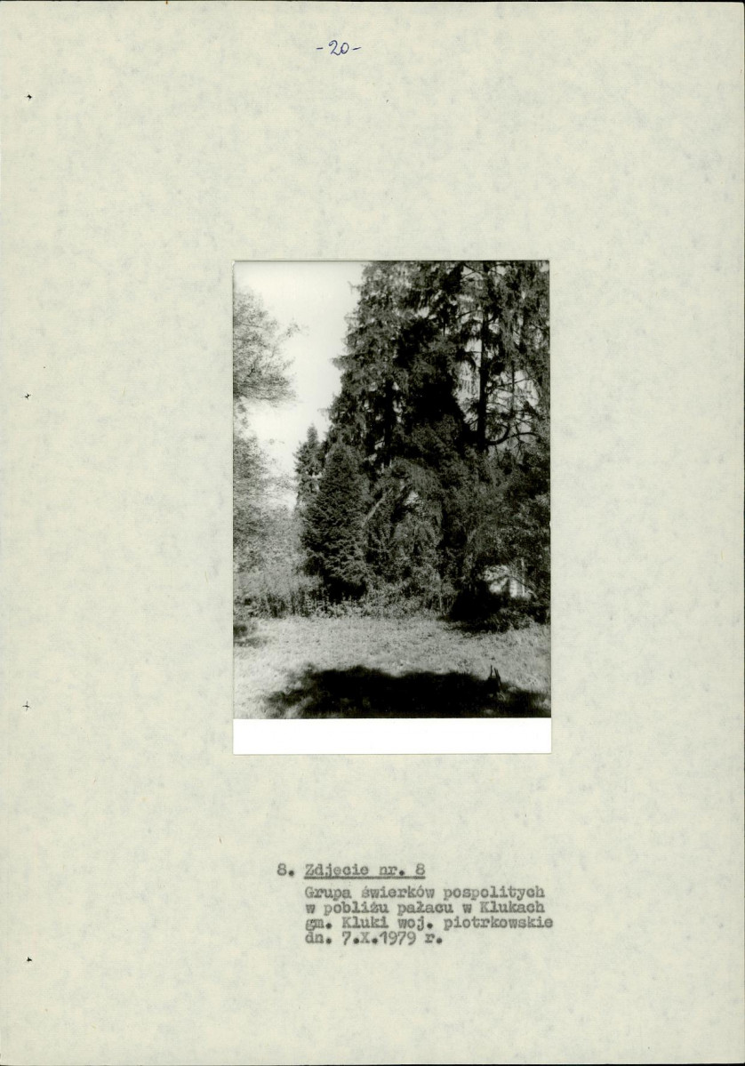 EP - Ewidencja parkowa, skan nr 27