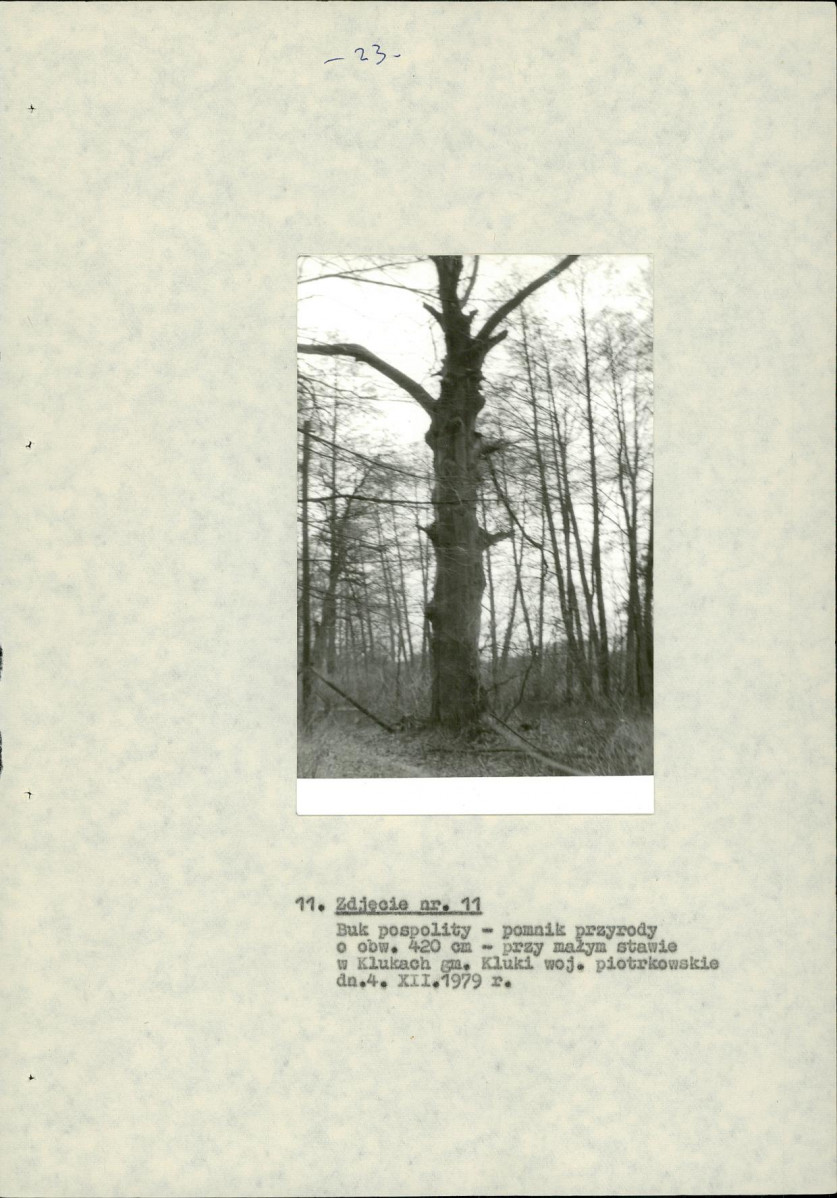 EP - Ewidencja parkowa, skan nr 30