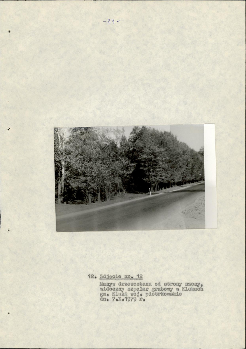 EP - Ewidencja parkowa, skan nr 31