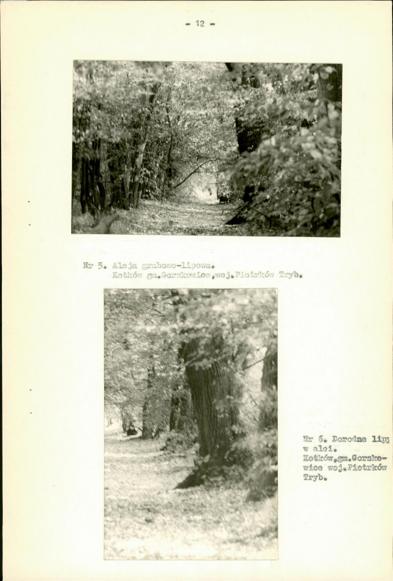 EP - Ewidencja parkowa, skan nr 21